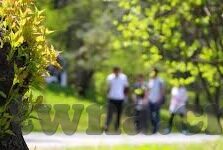 成人伦理小说-成人伦理小说的深度探索，人性、道德与艺术的交织