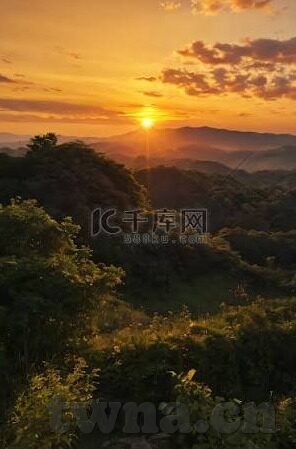 大象传媒 下载-探索大象传媒的下载世界，从平台选择到内容体验的全面指南