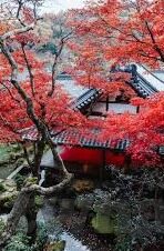 果冻传媒破解-探索数字娱乐的边界，果冻传媒的创意与挑战