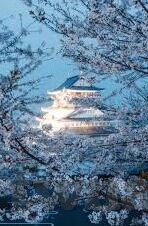 日韩高清av不卡一区二区三区-日韩高清AV内容分区解析与观影体验探讨