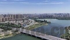 糖心vlog苹果-你的日常甜蜜瞬间——揭秘糖心vlog 苹果的背后故事